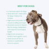 Plain cooked beef for dogs bangalore, benefits of feeding dogs beef, red meat option for dogs