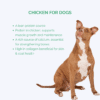 chicken for dogs, plain cooked chicken for dogs online, buying chicken for dogs in Bangalore