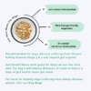 Gut Health Dog Meals