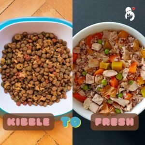 Explore the advantages of feeding dogs fresh food. A fresh diet for dogs, is the most species appropriate, natural food for dogs.