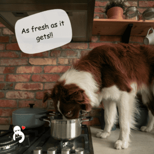 Recommendations on feeding a fresh meat based dog diet with Indian dog food ingredients. Hungry Eyes, fresh dog food delivery in Bangalore writes blogs on natural dog food and dog care.