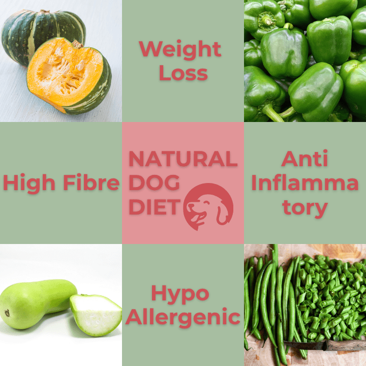 homemade low carb dog food, homemade dog food for allergies, anti inflammatory diet for dogs, healthy dog food to loose weight, high fibre dog diet