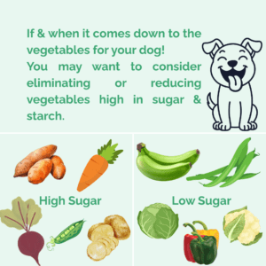 Canine food allergies are difficult to manage. While eliminating your dog's allergy protein. DO watch their starch tolerance as well. Dog food sensitivity test also includes starch tolerance.