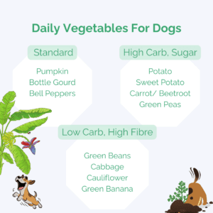 understand what veggies can dogs eat daily. by the function they perform for your dog. Vegetables for dogs are meant to work for them. They are high fibre foods for dogs on a meat based diet. Here's a list of dog safe vegetables to include in the non vegetarian dog meals