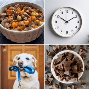 Tips for dog weight loss with dog diet chart for weight loss
