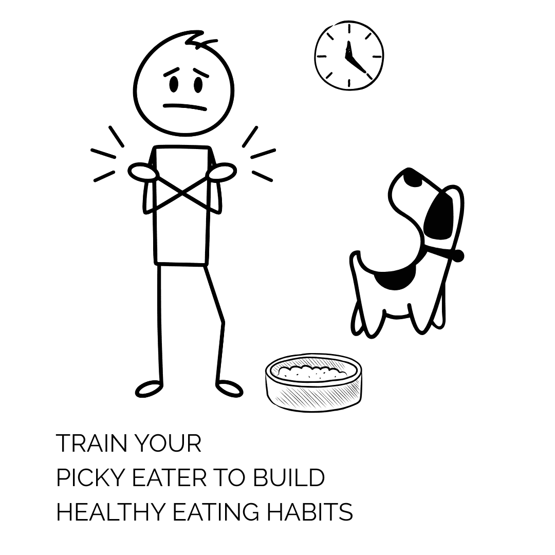 My dog is a fussy eater? Learn to feed you fussy dog. Order the best dog food for picky eaters. From Hungry Eyes, fresh dog food, Bangalore.